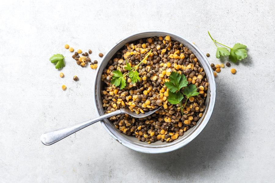 UNE ALIMENTATION ÉQUILIBRÉE, VARIÉE ET NUTRITIVE? VOUS POUVEZ COMPTER SUR ARDO!