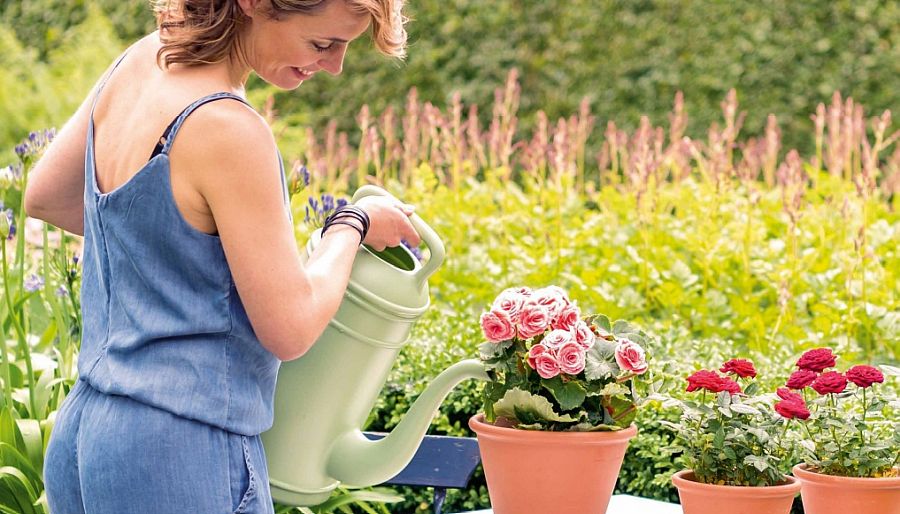 Des marques puissantes tournées vers l'avenir