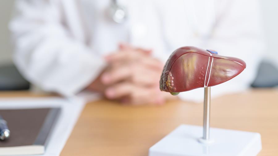 Les Cliniques universitaires Saint-Luc ont procédé à leur 3.000e greffe de foie