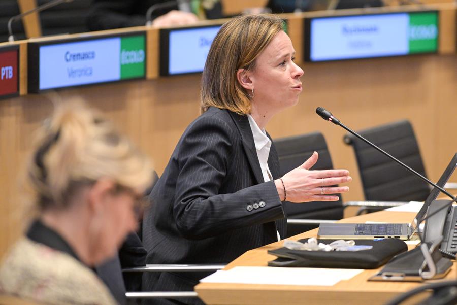 Resolutie wil recht op abortus en anticonceptie in Grondwet